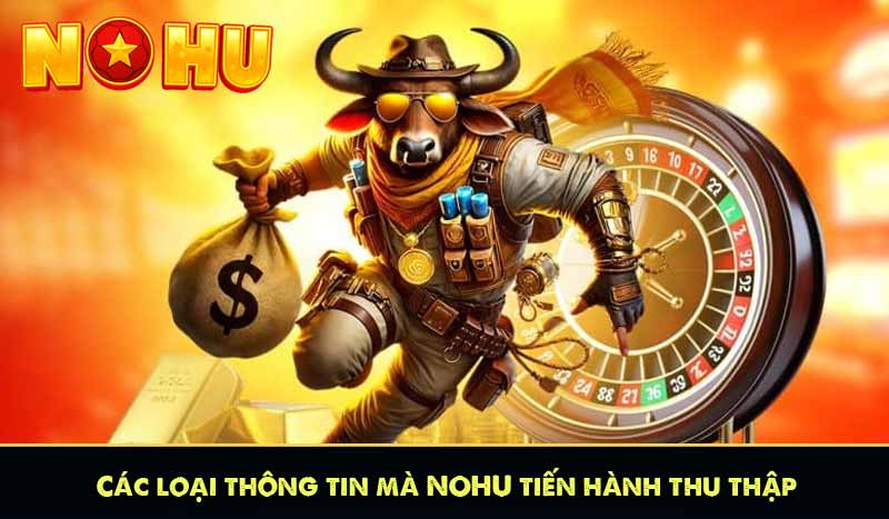 Các loại thông tin mà NOHU tiến hành thu thập